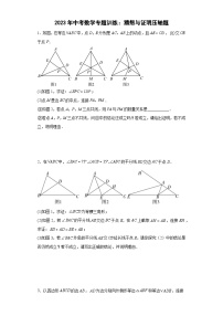 中考数学专题训练：猜想与证明压轴题（含简单答案）