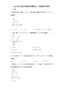九年级中考数学专题训练：二次函数与不等式（含简单答案）
