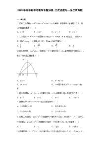 九年级中考数学专题训练：二次函数与一元二次方程（含简单答案）