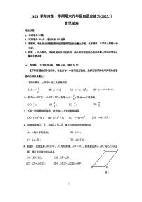 上海市普陀区2025—2025学年上学期九年级中考一模考试数学试题