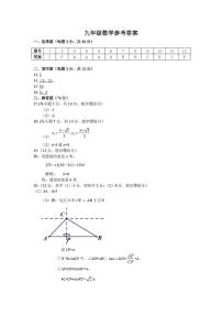 海南省省直辖县级行政单位陵水黎族自治县2024-2025学年九年级上学期1月期末数学试题