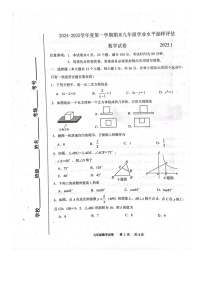 河北省唐山市2024-2025学年九年级上学期1月期末数学试题