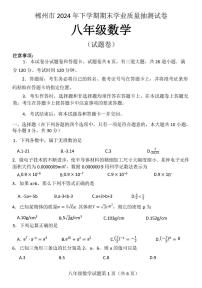 湖南省郴州市2024—-2025学年上学期八年级数学期末考试卷