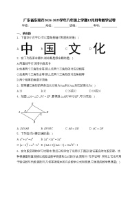 广东省东莞市2024-2025学年八年级上学期12月月考数学试卷(含答案)