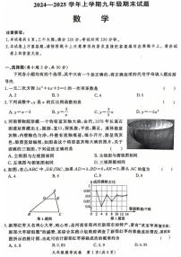 2024-2025学年郑州市二七区九年级上学期期末数学试卷