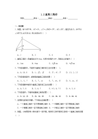 初中北师大版（2024）2 直角三角形综合训练题