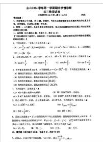 上海市金山区2024-2025学年九年级上学期期末数学试卷（一模）