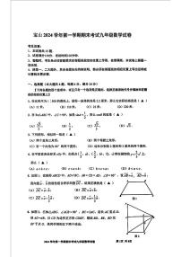 上海市宝山区2024-2025学年九年级上学期期末数学试卷（一模）