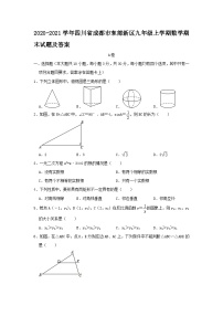 2020-2021学年四川省成都市东部新区九年级上学期数学期末试卷及答案