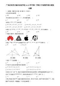 广东省东莞市翰林实验学校2024-2025学年上学期八年级数学期末模拟试题