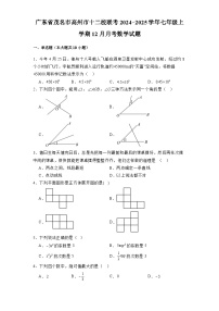 广东省茂名市高州市十二校联考2024-2025学年七年级上学期12月月考 数学试题（含解析）