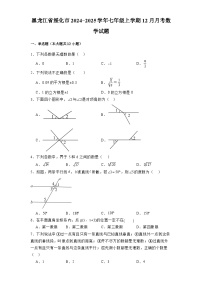 黑龙江省绥化市2024-2025学年七年级上学期12月月考 数学试题（含解析）