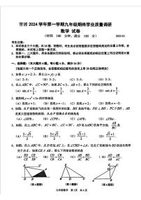 上海市青浦区2024-2025学年九年级上学期期末数学试卷（一模）