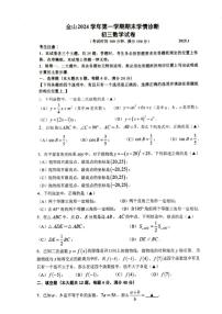 2025年上海市金山区初三数学一模试卷