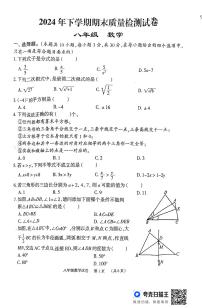 湖南省岳阳市临湘市2024-2025学年八年级上学期期末考试数学试题