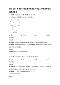 2023-2024学年四川省成都市武侯区九年级上学期数学期末试题及答案