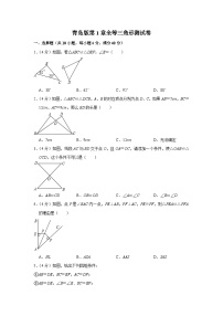 青岛版（2024）1.1 全等三角形当堂检测题