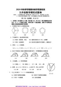 2024～2025学年九年级上数学期末模拟试卷卷(含答案)