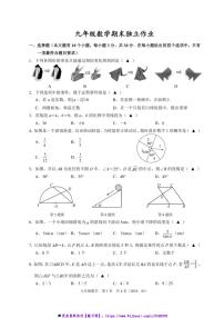 2025九年级上数学试卷卷(期末独立)(含答案)