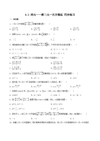 人教版（2024）七年级下册8.2 消元---解二元一次方程组精练
