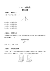 初中数学人教版（2024）七年级下册5.1.2 垂线课时练习