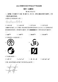 湖南省郴州市2024年中考模拟数学试题（原卷版）