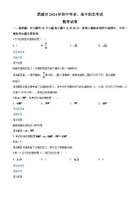 甘肃省武威市2024年中考模拟数学试题（解析版）