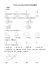 贵州省毕节市2024年中考模拟数学试题（原卷版）
