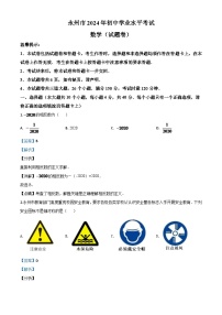 湖南省永州市2024年中考模拟数学试题（解析版）