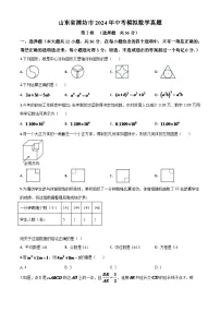 山东省潍坊市2024年中考模拟数学试题（原卷版）