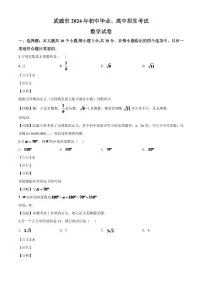 甘肃省武威市2024年中考模拟数学试题（解析版）