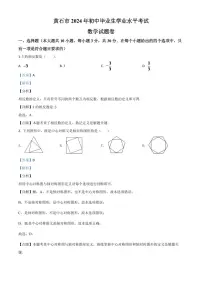 湖北省黄石市2024年中考模拟数学试题（解析版）