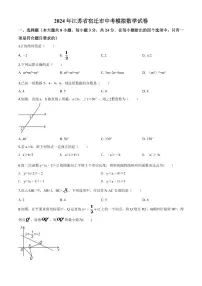 江苏省宿迁市2024年中考模拟数学试题（原卷版）