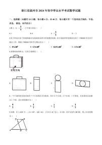 浙江省温州市2024年中考模拟数学试题（原卷版）