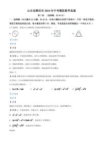 山东省潍坊市2024年中考模拟数学试题（解析版）