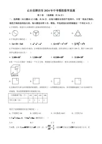 山东省潍坊市2024年中考模拟数学试题（原卷版）