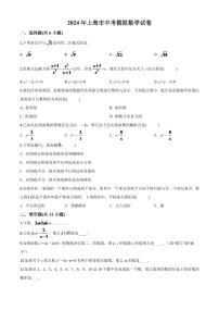上海市2024年中考模拟数学试题（原卷版）