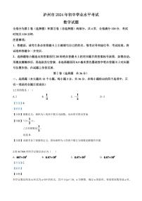 四川省泸州市2024年中考模拟数学真题（解析版）