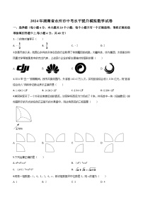 2024年湖南省永州市中考水平提升模拟数学试卷（原卷版）