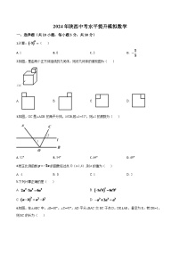 陕西省2024年中考水平提升模拟数学试题（原卷版）