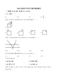 陕西省2024年中考水平提升模拟数学试题（原卷版）