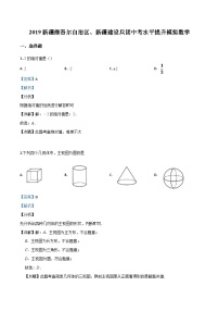 新疆维吾尔自治区2024年中考水平提升模拟数学（解析版）