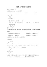 人教版数学七年级下册期末：综合训练