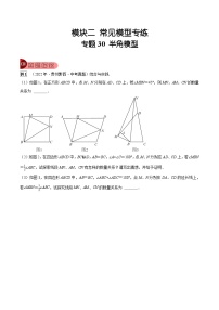 中考数学一轮复习真题探究+变式训练专题30 半角模型（2份，原卷版+解析版）