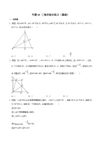 中考数学二轮复习几何专项知识精讲+基础提优训练专题30 三角形综合练习（基础）（2份，原卷版+解析版）