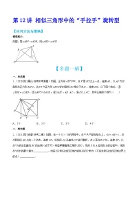 中考数学二轮培优训练第12讲 相似三角形中的“手拉手”旋转型（2份，原卷版+解析版）