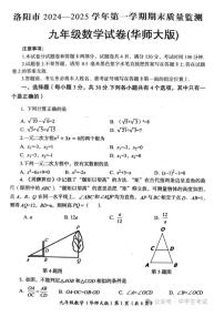 2024-2025学年河南省洛阳市九年级上学期期末数学试卷（华师大版）