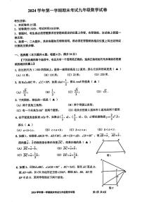 2025届上海市宝山区初三一模数学试卷（含参考答案）