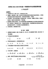 广东省深圳市龙岗区2024-2025学年八年级上学期期末考试数学试题