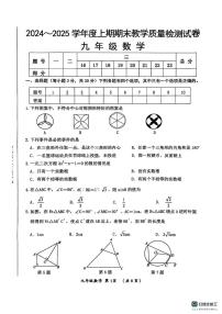 河南省漯河市郾城区2024-2025学年九年级上学期1月期末考试数学试题